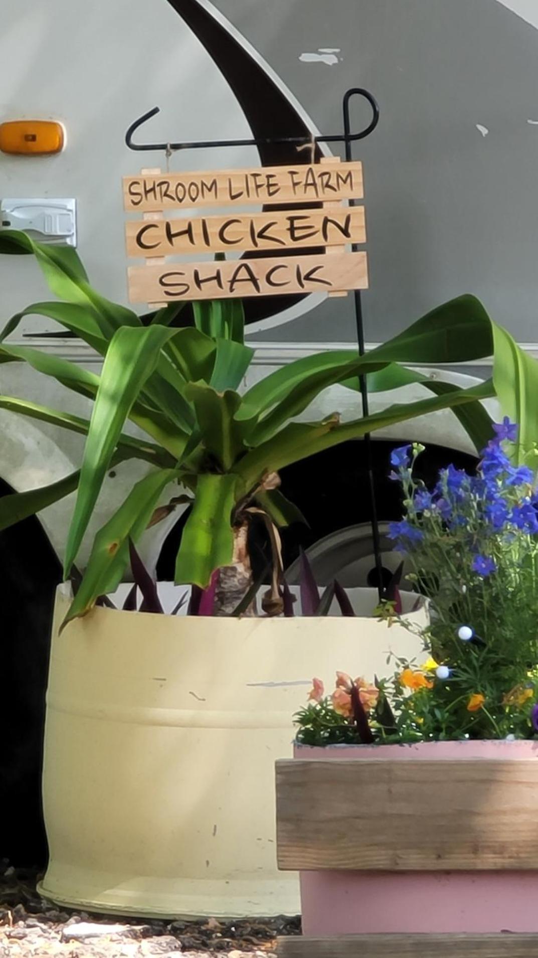 Shroom Life Farm Chicken Shack Норт-Форт-Майерс Экстерьер фото