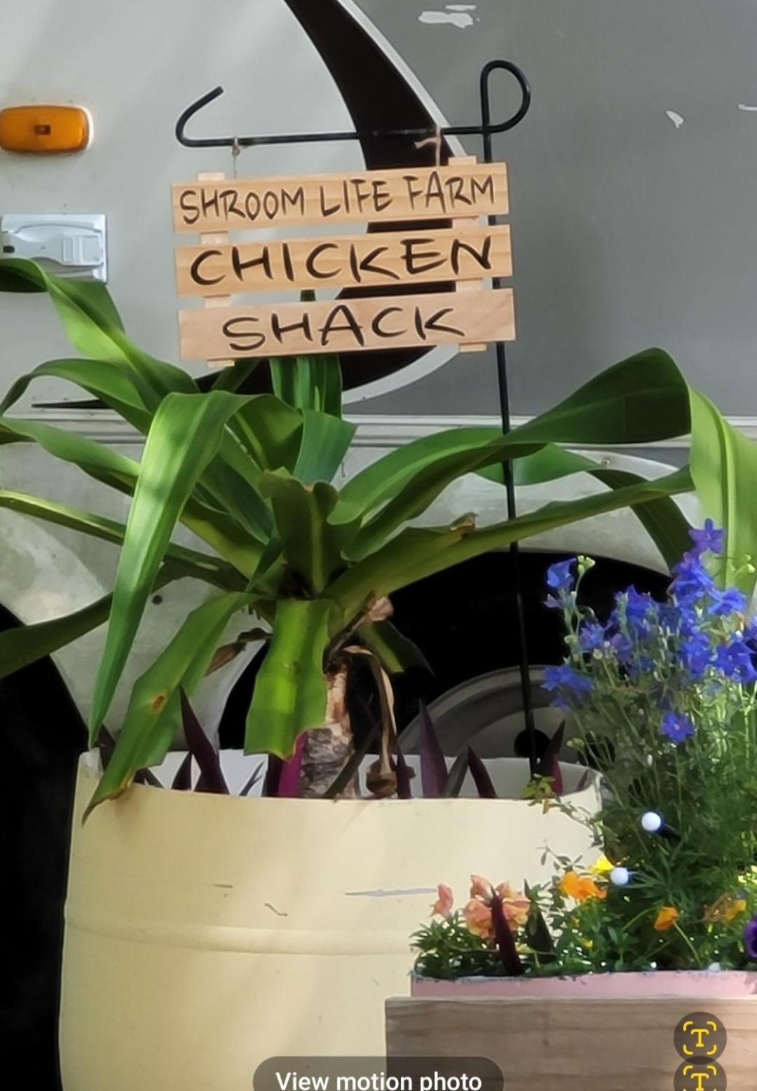 Shroom Life Farm Chicken Shack Норт-Форт-Майерс Экстерьер фото
